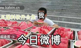 热门吃瓜视频爆料大全下载,一网打尽全网爆料大全