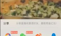 映客短视频在哪里,探索潮流社交新天地