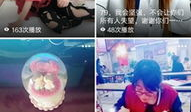有趣短视频,趣味瞬间，笑点连连