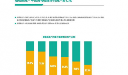 短视频用户报告,洞察趋势，揭秘用户行为与偏好