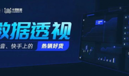 短视频直播电商课程,揭秘新零售时代的流量密码与转化攻略