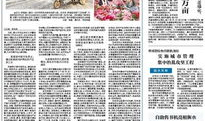 衡水吃瓜最新事件爆料新闻,最新事件爆料揭秘！